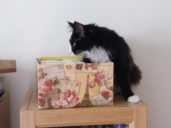 Checking Out The Postcard Box!