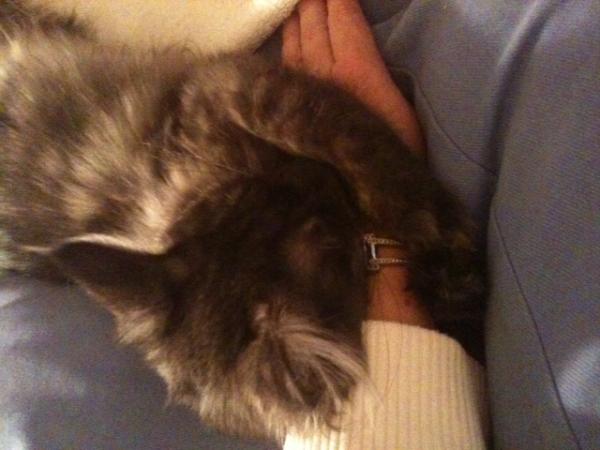 Hugging My Mummy's Arm, Awwww!